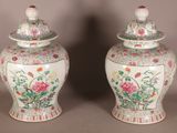 paire de vases chinois avec des fleurs et des oiseaux peints dessus