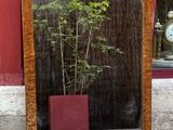 a mirror that has a plant in it on the ground