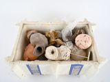 a box with a bunch of different items in it