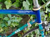 un vélo bleu garé devant un buisson