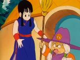 cartoon of a woman in a purple hat holding a broom next to a little girl in a purple dress
