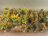 un bouquet d'arbres miniatures posés sur une table