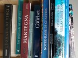 un grand nombre de livres qui se trouvent dans une boîte
