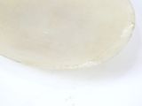 a white plate that has a small piece of food on it