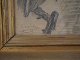 a drawing of a bird sitting on a tree branch