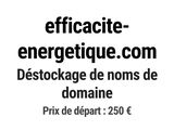 Photo 1/1 du lot