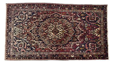 IRAN Bakhtiar Tapis en laine nouée à la main à décor polychr…