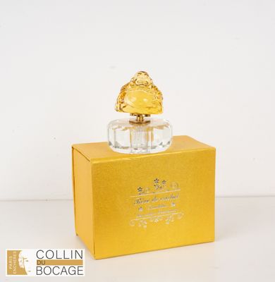 une image représentant un flacon de parfum posé sur une boîte jaune