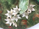 a green plate with white flowers on it on a table