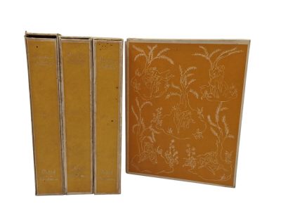 trois livres sont posés les uns à côté des autres sur une surface blanche