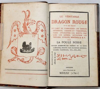 a book with a picture of a dragon on it