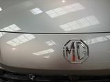 a close up of a car ' s emblem on the front of it