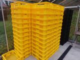 des caisses en plastique jaunes empilées les unes sur les autres dans une serre