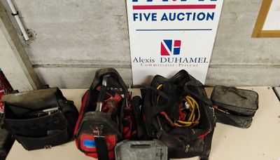 Lot cmprenant : - Photo 1