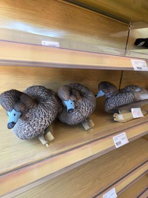 several stuffed animals are lined up on a shelf in a store