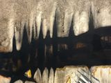 une peinture représentant un poisson, peinte sur un mur