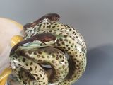a vase with a snake on it and a vase with a snake on it