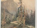 Photo 1/3 du lot