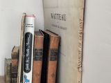a book on a shelf next to some old books