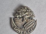 a silver coin with a tree on it sitting on a table