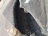 a cat sitting in a plastic bag on the floor