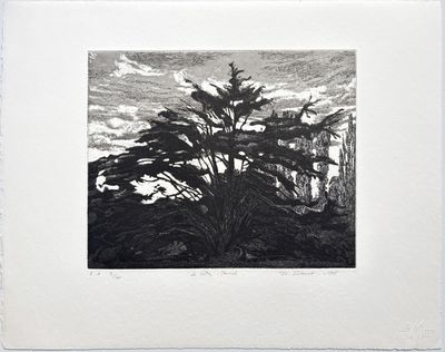 une image représentant un dessin en noir et blanc d'un arbre dans un champ