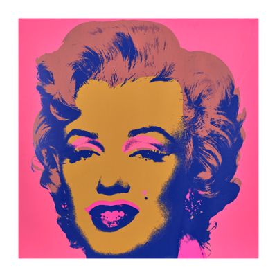 a pink and blue marilyn monroe print on a pink background