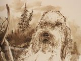 a drawing of a dog that is sitting in the grass