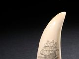 une dent de baleine en ivoire sur laquelle est gravé un dessin représentant un navire