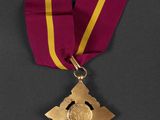 a close up of a medal with a ribbon around it