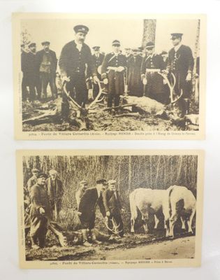 deux vieilles photos en noir et blanc représentant des hommes et des animaux dans un champ