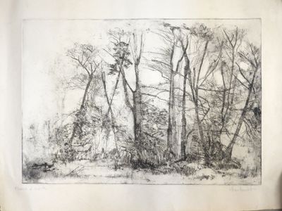 a black and white drawing of trees in a forest