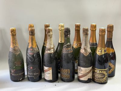 12 bouteilles Champagne divers MALARD, TALMONT etc Vieux
