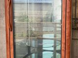 a glass display case with a plant inside of it