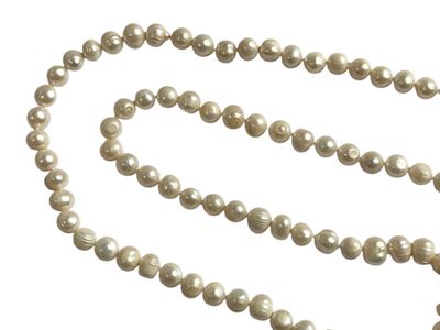 une image représentant un collier de perles blanches sur fond blanc