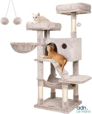 two cats that are sitting on a cat tree
