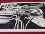 black and white drawing of a musical instrument on a red surface