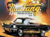 l'affiche du film « Mustang Shelby », avec Mustang dans le rôle principal