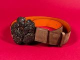 a close up of a belt with a flower on it