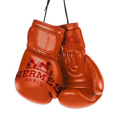 Charly Rocks (BORN 1983) Fighting HERMES.