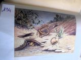 une photo d'un livre sur lequel figure l'image d'un insecte