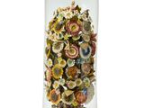 un soufflet en verre contenant un bouquet de fleurs