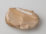 a rock with a tag on it sitting on a table