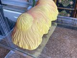 a cake shaped like a dog sitting on a glass table