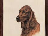 tableau représentant un chien brun dans un cadre brun sur fond blanc
