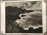 une photo en noir et blanc d'une plage rocheuse