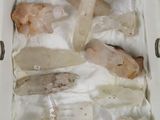 une boîte remplie de crevettes crues posée sur une table