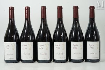 six bouteilles de vin sont alignées sur une table