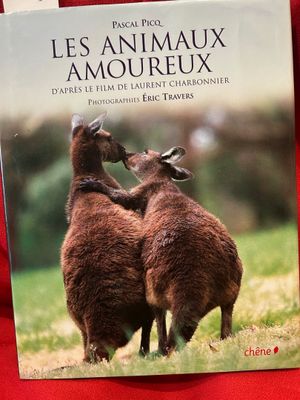 deux livres posés sur un tissu rouge
