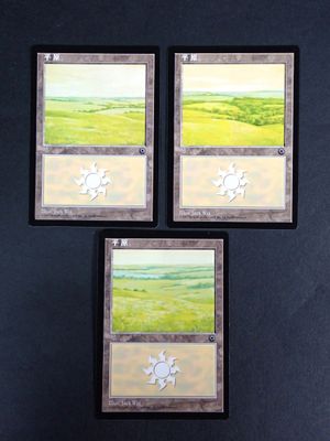 three framed pictures of turtles on a black wall with a green field in the background